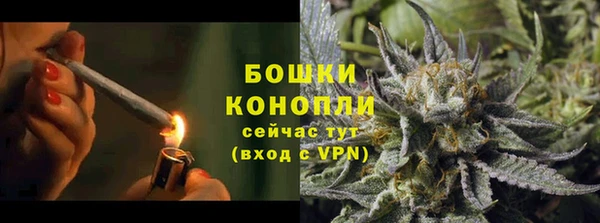 ГАЛЛЮЦИНОГЕННЫЕ ГРИБЫ Белокуриха