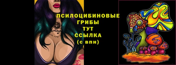 амф Белоозёрский