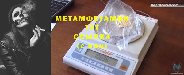 ГАЛЛЮЦИНОГЕННЫЕ ГРИБЫ Белокуриха