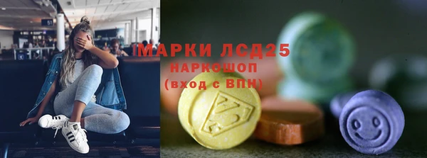 ГАЛЛЮЦИНОГЕННЫЕ ГРИБЫ Белокуриха