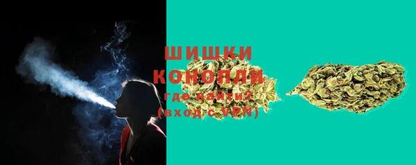 амф Белоозёрский